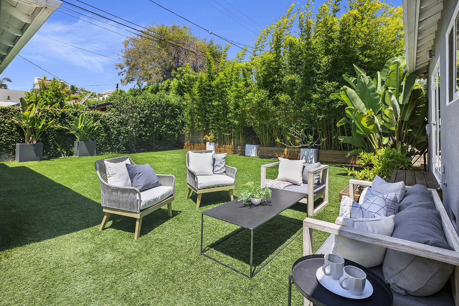 back yard 2