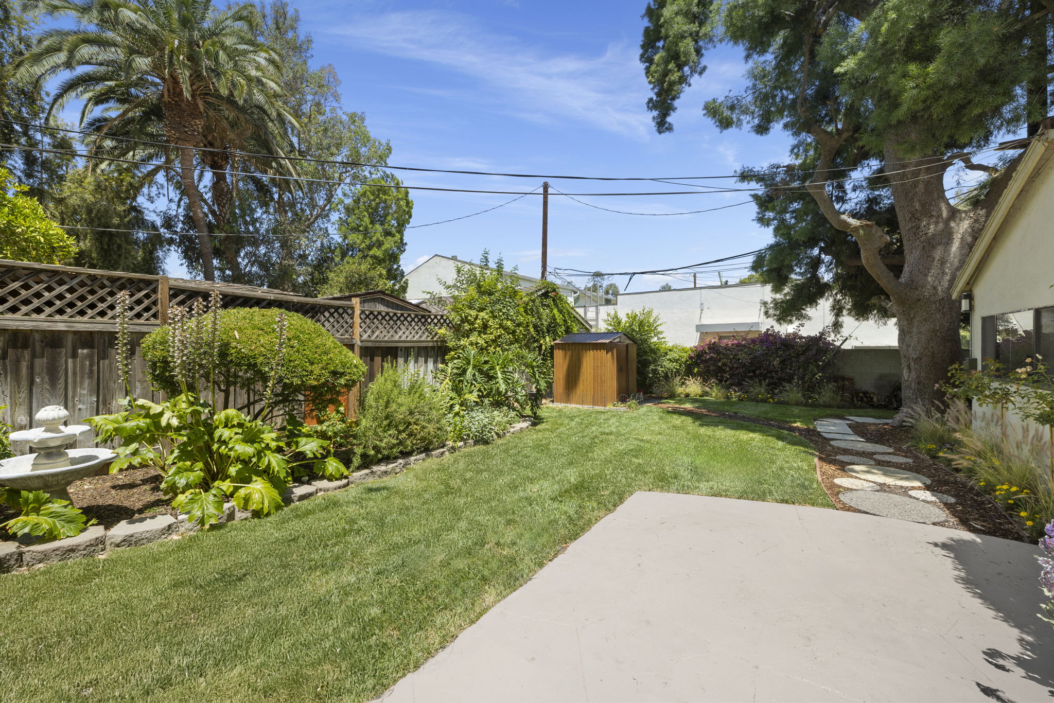 backyard