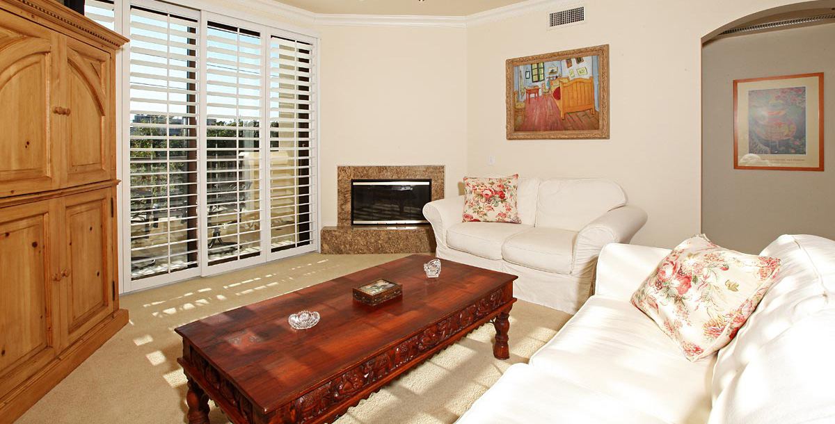 Living Room / Fireplace