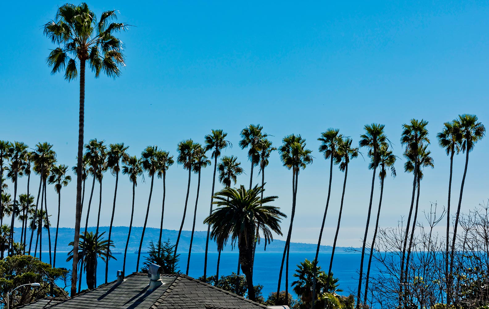 128 Georgina Avenue,Santa Monica,90402,2 Bedrooms Bedrooms,2 BathroomsBathrooms,Condominium,Georgina Avenue,1062